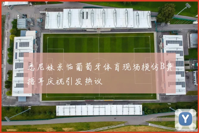 悉尼妹亲临葡萄牙体育现场模仿B费捂耳庆祝引发热议