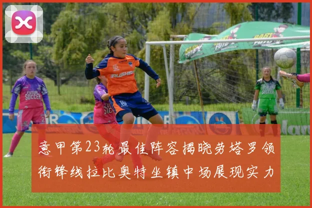 意甲第23轮最佳阵容揭晓劳塔罗领衔锋线拉比奥特坐镇中场展现实力