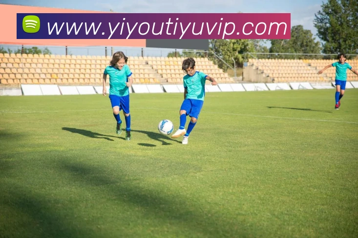 易游体育平台生态图