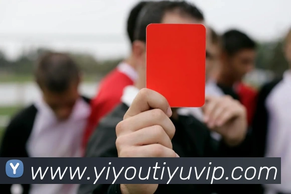 易游体育APP 封面图